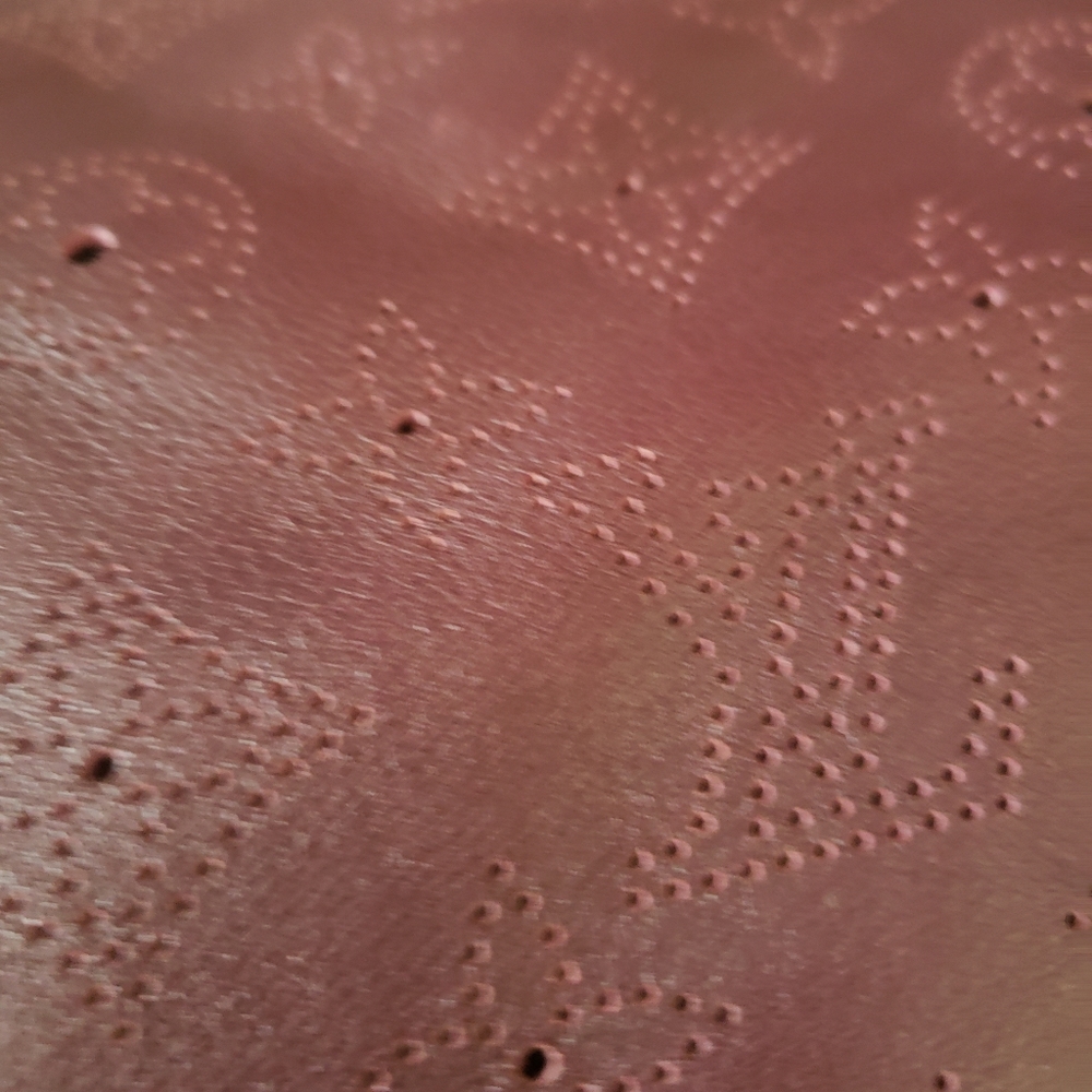 LIKE NEW LV Hobo - Picture 4 of 10